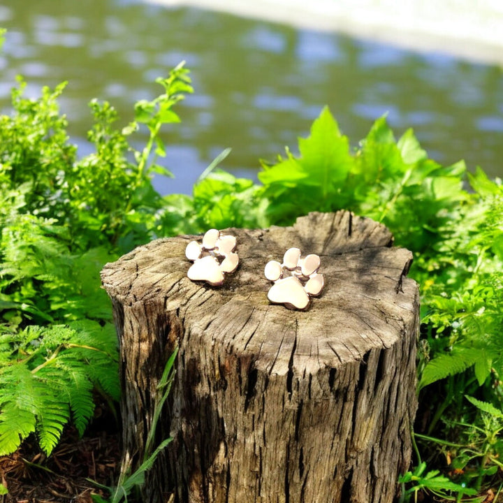 Roestvrijstalen Poot Oorbellen Hypoallergeen