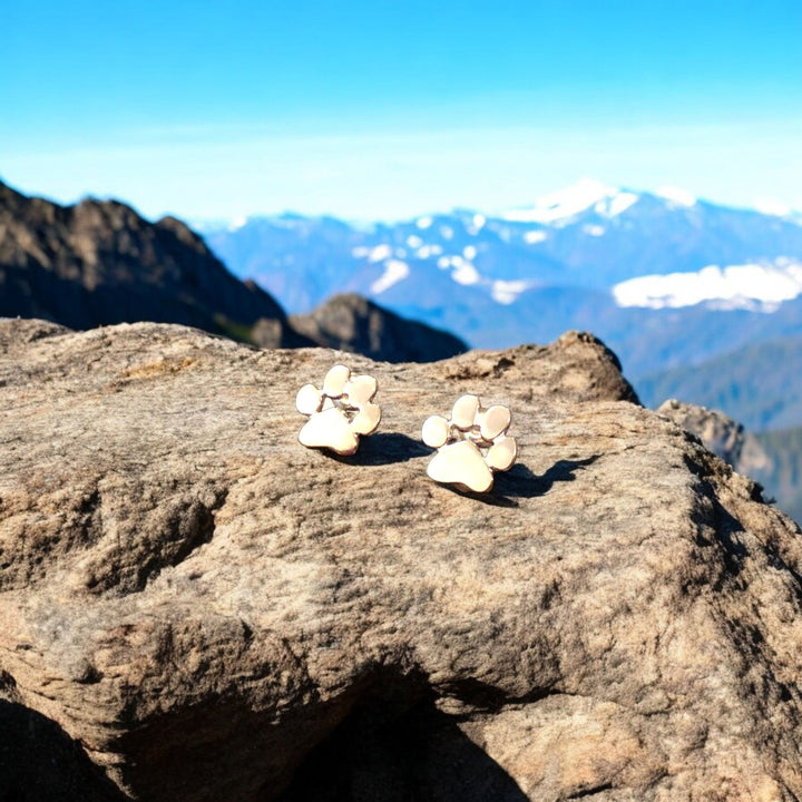 Roestvrijstalen Poot Oorbellen Hypoallergeen